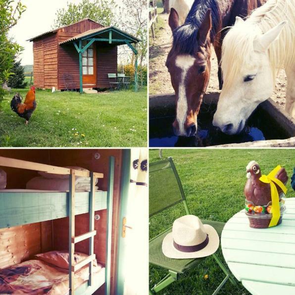 Отель Ferme Equestre Les Chevaliers Penol Экстерьер фото