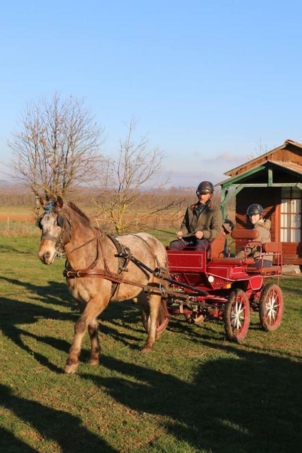 Отель Ferme Equestre Les Chevaliers Penol Экстерьер фото